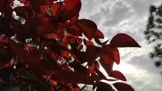 Xiaomi Redmi Note 9 Pro - Handheld camera image stabilization - @iq