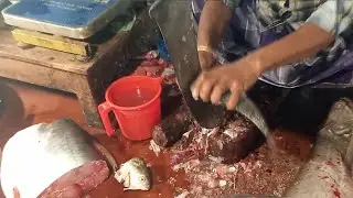 Fish Cutting Challenge ফিশ কাটিং চ্যালেঞ্জ #FINCUTSTV #fincutstv #Fin Cuts TV