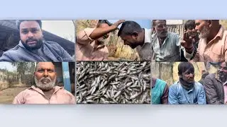 comedy + drama + fish + blessing