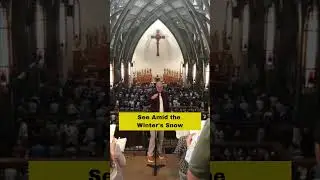 See Amid the Winter's Snow #hymns #christmas #carol #catholicmass #holymass #sundayservice #god