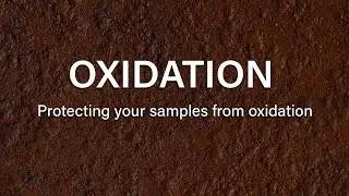 Protecting your samples from oxidation
