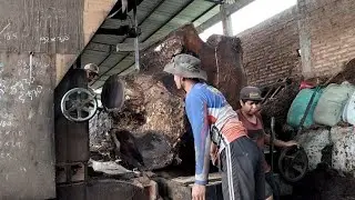 High-Value Giant Wood After Being Sawed | Amazing Sawmill Factory Process 