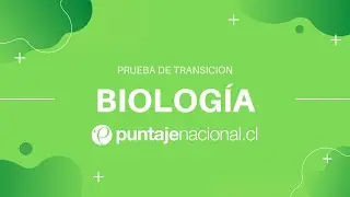 Prueba de Transición BIOLOGÍA | Fotosíntesis | Clase N°12