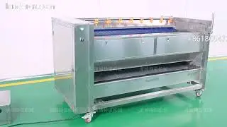 Vertical brush-roller washing machine for vegetables: potatoes, carrots, yams, lotus roots, and fish