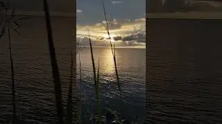 #MorningByTheSea #GoldenHorizon #WavesOfPeace