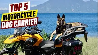 Best Motorcycle Dog Carriers: A Review of Top Options