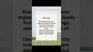 BLUE SMOKE #bluesmoke #whitesmoke #diesel #mechanic #trendinhshorts #shortsfeed #viral