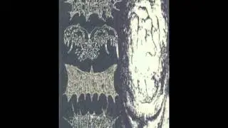 Anal Birth - 15 Untitled Tracks