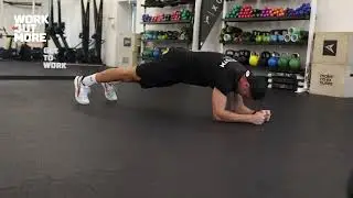 4  Low plank twist