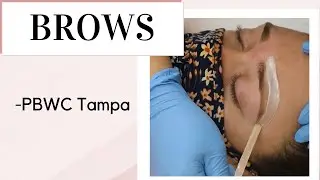 ♡Brows♡┃PBWC Tampa