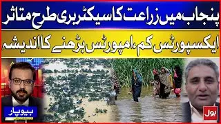 Punjab Agriculture Hit Hard | Export Drop & Rising Import Concerns