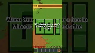 Sonic has now become a bee in Minecraft!!! #minecraftletsplay #sonicthehedgehog #bees #minecraft