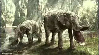 SpinnerX - Platybelodon