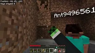 my brother's first time playing minecraft!