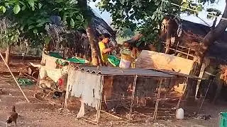Jathi kodulu