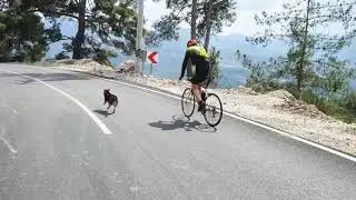 Yarbaşcandır Citdibi k&ouml;y&uuml;