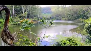 SEETHA DEVI LAKE | Tourism Kerala | Idukki