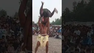 Teddy Sheedi Malakhro 2025 | Sheedi Malakhra #malakhra #malakhro #dangal