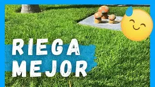 💧 Riego Correcto = Pasto Verde | La mayoría lo hace MAL