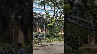 High-tech tree cutting machine#viral#trending#technology#trivandrum#cutting#gardenwork#fyp#nature#fy