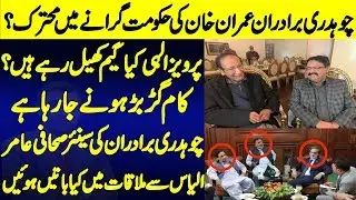 Journalist meets Chaudhry brothers || Behind the story between Parvez Elahi and PLMN