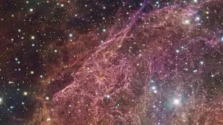 Vela Supernova Remnant Shows Cosmic Networks