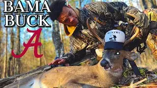 Early January Alabama Pre Rut  (CATCH AND COOK) #hunting