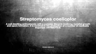 Medical vocabulary: What does Streptomyces coelicolor mean