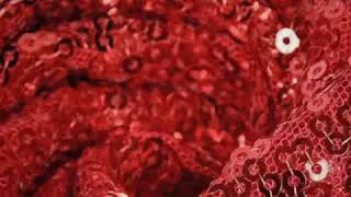 3mm Red Shimmer Sequin Fabric Photography Backdrop 20