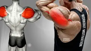8 posterior Deltoid Exercises with Dumbell Only