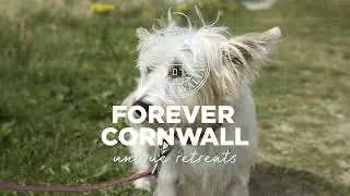 Forever Cornwall | Dog friendly accommodation