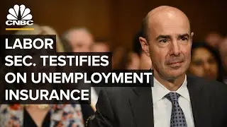 Labor Secretary Scalia testifies on unemployment insurance amid Covid-19 ⁠&mdash; 6/9/2020
