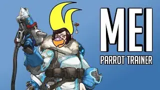 30 Minutes of Overwatch's Mei Parrot Training