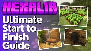 The Ultimate Guide to Hexalia