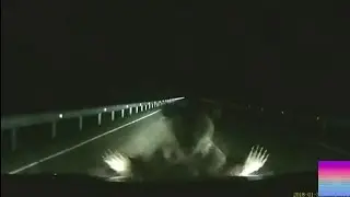 Uber driver meets a bear... lunges at car to protect her cub....