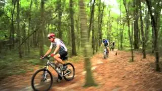 Santos Bike Shop