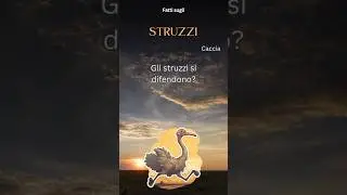 Fatto sullo struzzo 38 - Gli struzzi si difendono?