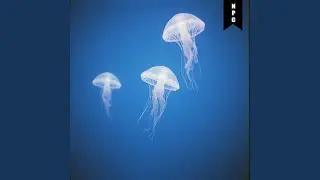 Save Point