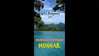 Heading to elephant passage Munnar ??