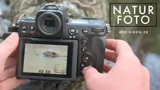 Naturfoto med Nikon Z8
