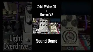 Zakk Wylde Overdrive + Dream '65 Sound Demo #shorts