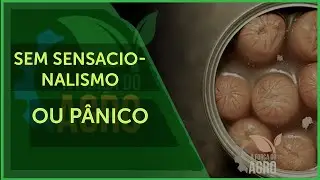 A fun&ccedil;&atilde;o do nitrito e nitrato nos alimentos