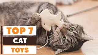 7 Best Cat Toys for Indoor Cats &ndash; Keep Them Active!