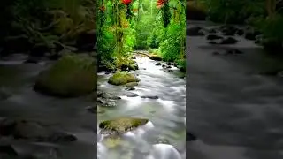 sound of relaxation therapy 😁#therapy #soundrelaxing #soundrelaxation #calm #enjoy #happy