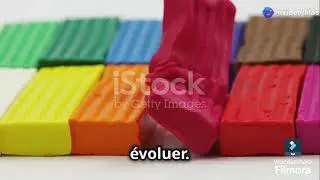 Les plus grands paradoxes de la vie