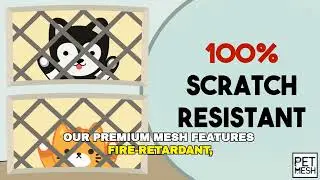Keep Your Cats Safe & Breezy with Window Mesh Magic! 🐾