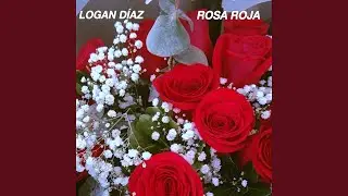 ROSA ROJA