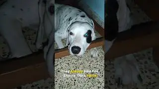Brain.EXE Not Working 🧠🤯