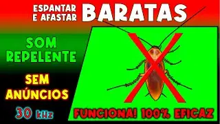 SOM PARA ESPANTAR BARATAS 🚫🪳 REPELENTE DE INSETOS