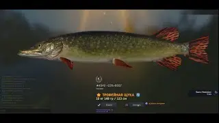 Fisher Online трофей щука карта Германия
